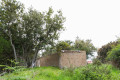 finca-rustica-en-venta-en-avenida-oriente-small-12