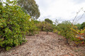 finca-rustica-en-venta-en-vilaflor-small-9