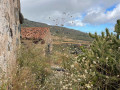 finca-rustica-en-venta-en-vilaflor-small-24