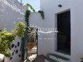 casa-o-chalet-independiente-en-venta-en-vilaflor-small-22