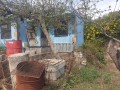 finca-rustica-en-venta-en-carretera-el-roquillo-ref-103430642-small-16