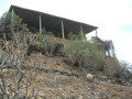 finca-rustica-en-venta-en-tf-47-46-ref-111-small-16