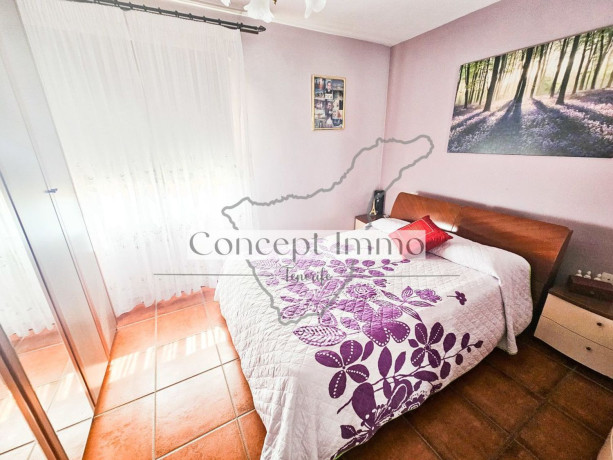 chalet-adosado-en-venta-en-calle-jardin-botanico-1-big-24