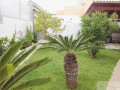 casa-o-chalet-independiente-en-venta-en-calle-ceuta-small-9