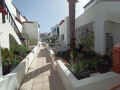 duplex-en-venta-en-costa-del-silencio-las-galletas-small-26