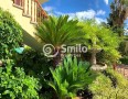 santa-cruz-de-tenerife-small-8