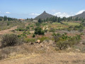 finca-rustica-en-venta-en-vilaflor-small-1