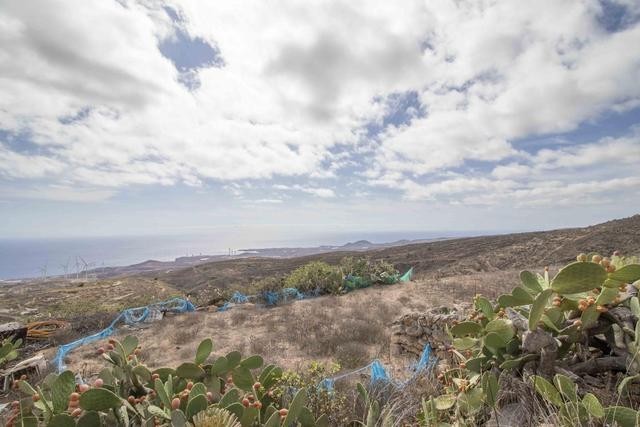 santa-cruz-de-tenerife-big-10