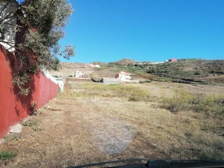 La Laguna (ref. 481302161)