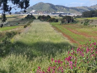 San Cristóbal de la Laguna - Carretera