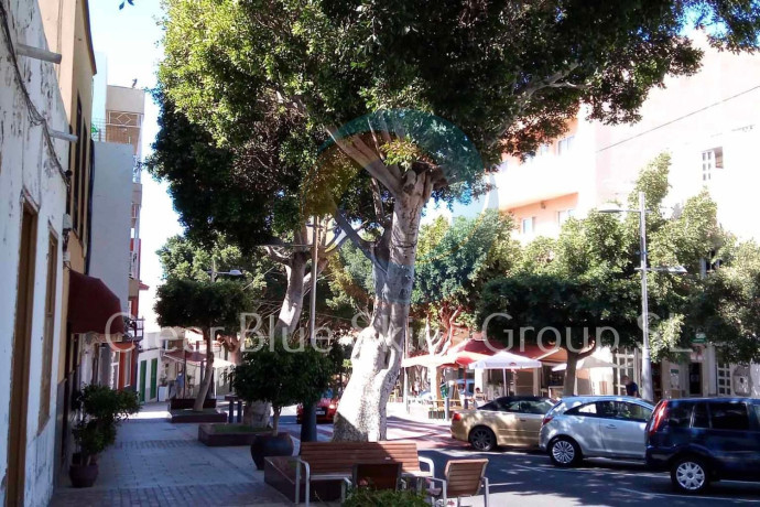 chalet-adosado-en-venta-en-jardin-botanico-big-20