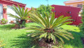 casa-o-chalet-independiente-en-venta-en-guajara-small-6