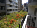 piso-en-venta-en-bethencourt-alfonso-small-3