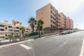 santa-cruz-de-tenerife-capital-c-h-small-16