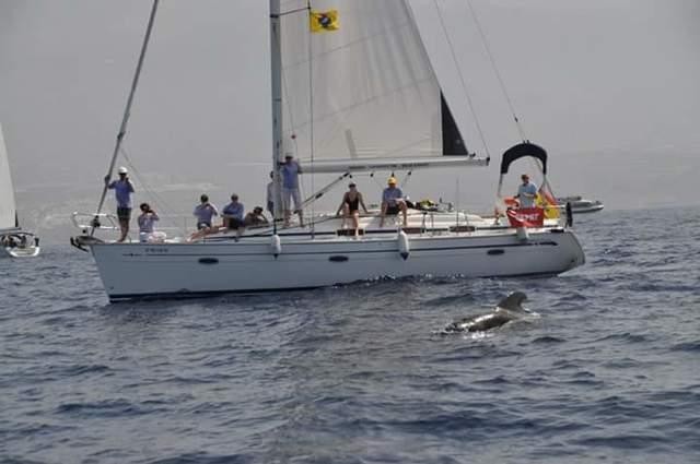 velero-para-7-o-11-personas-excursiones-big-4