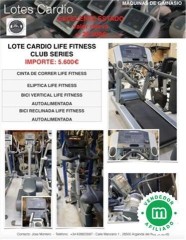 LOTE gimnasio LIFE FITNESS, cinta correr