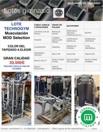 lote-gimnasio-technogym-selection-big-0