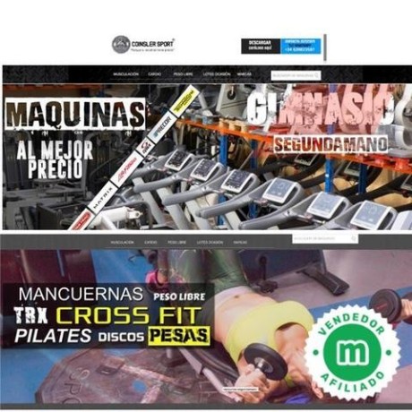 multiestacion-multigimnasio-technogym-big-5