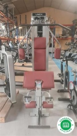 multiestacion-multigimnasio-technogym-big-2