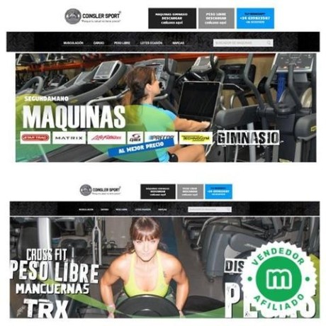 lote-gimnasio-technogym-big-6