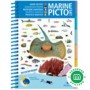 pictolife-guia-especies-del-pacifico-o-small-0