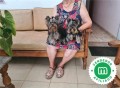 cachorros-yorkshire-tenerife-small-6