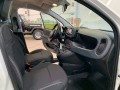 fiat-panda-10-hybrid-70cv-small-17