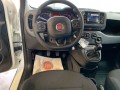 fiat-panda-10-hybrid-70cv-small-12