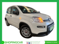 fiat-panda-10-hybrid-70cv-small-0