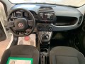 fiat-panda-10-hybrid-70cv-small-14