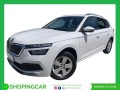 skoda-kamiq-10-tsi-95cv-ambition-small-2