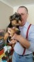 regalo-increible-cachorro-yorkshire-terrier-macho-y-hembra-small-0