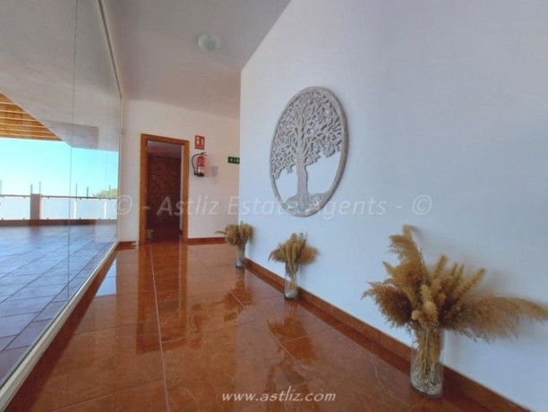 casa-o-chalet-en-venta-en-urb-costa-adeje-playa-paraiso-big-15