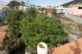 casa-o-chalet-independiente-en-venta-en-cabo-blanco-ref-101862112-small-1