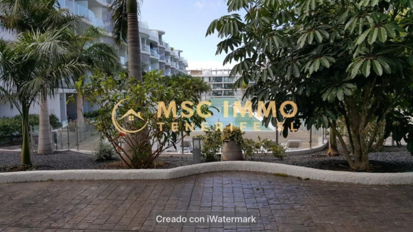 piso-en-venta-en-avenida-el-palm-mar-1-big-2