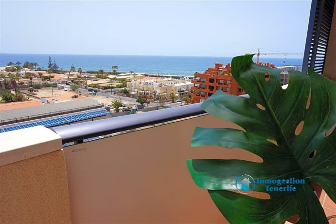 piso-en-venta-en-avenida-el-palm-mar-big-11