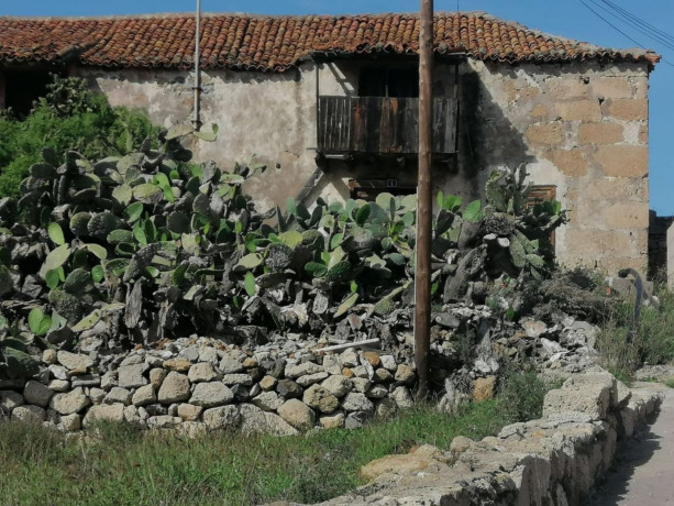 casa-rural-en-venta-en-fasnia-sn-ref-102299894-big-1