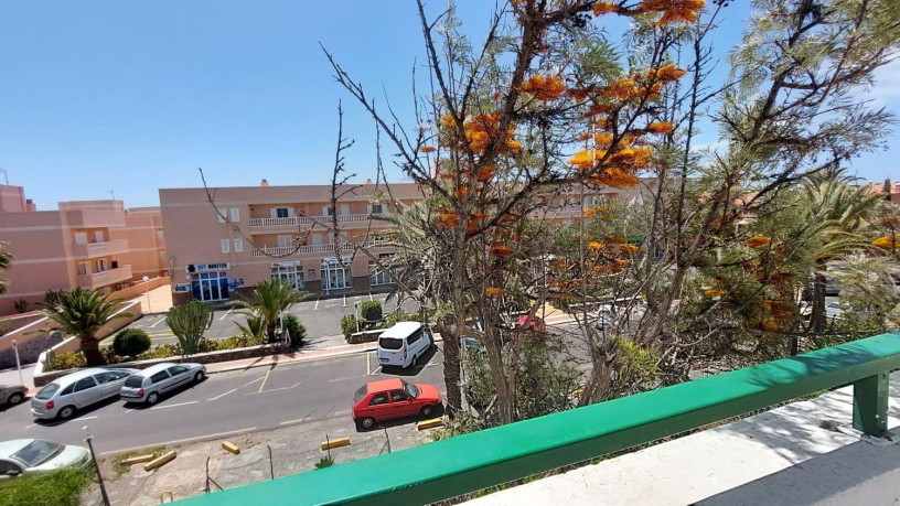 duplex-en-venta-en-calle-minerva-16-big-2