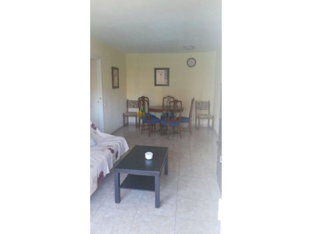 piso-en-venta-en-avenida-juan-carlos-i-39-big-10