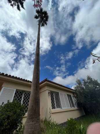 casa-o-chalet-independiente-en-venta-en-urbanizacion-san-diego-29-big-2