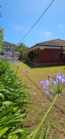 casa-o-chalet-independiente-en-venta-en-calle-el-drago-29-ref-jo000523xp-big-5