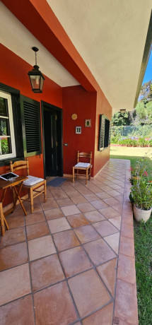 casa-o-chalet-independiente-en-venta-en-calle-el-drago-29-ref-jo000523xp-big-7