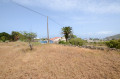 finca-rustica-en-venta-en-camino-de-los-mohos-sn-small-6