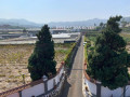 finca-rustica-en-venta-en-calle-el-esparragal-sn-small-2