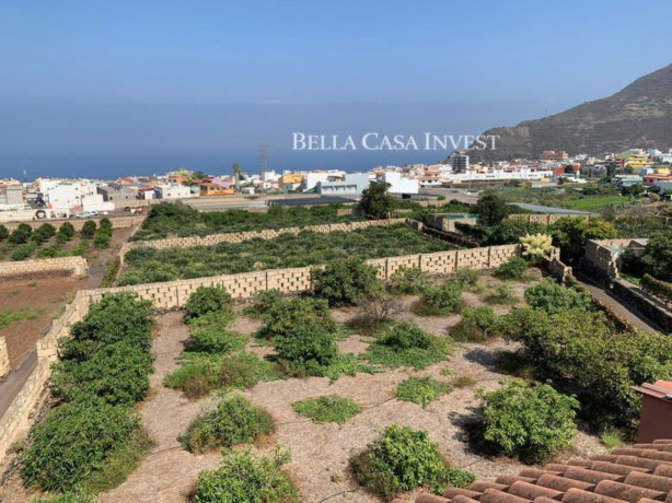 finca-rustica-en-venta-en-calle-el-esparragal-sn-big-4