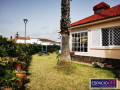 casa-o-chalet-independiente-en-venta-en-chopin-small-18