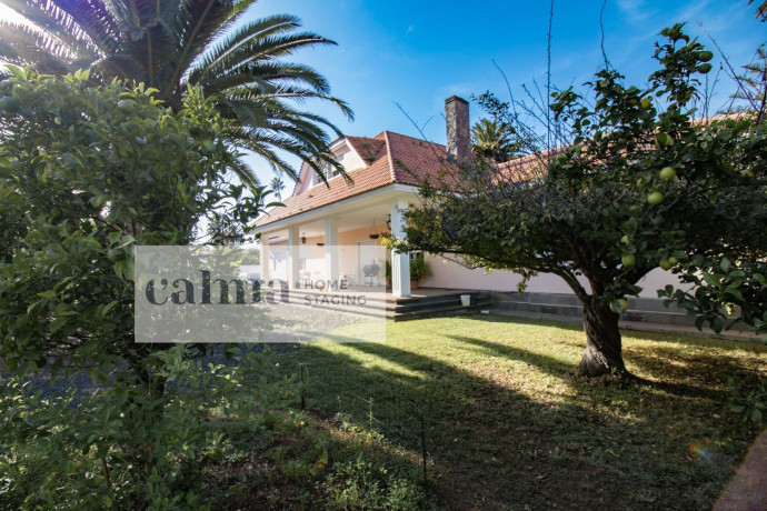 casa-o-chalet-independiente-en-venta-en-pozo-cabildo-numero-big-2