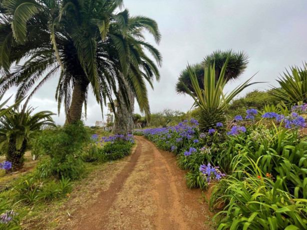 finca-rustica-en-venta-en-valle-guerra-tejina-big-0