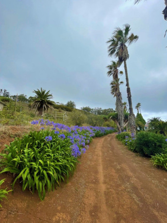 finca-rustica-en-venta-en-valle-guerra-tejina-big-2