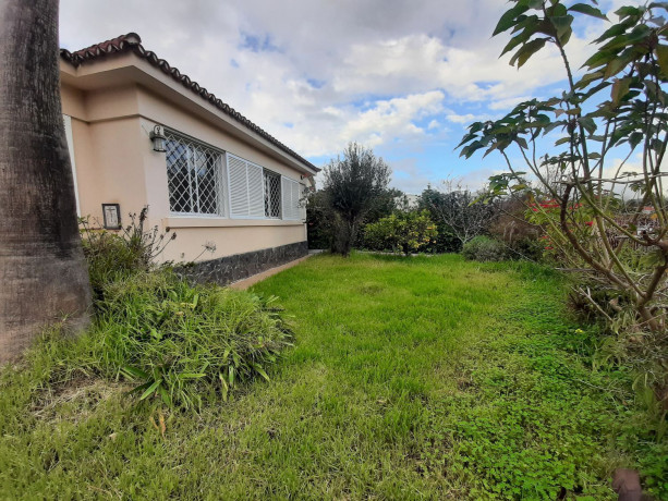 casa-o-chalet-independiente-en-venta-en-vega-lagunera-big-3